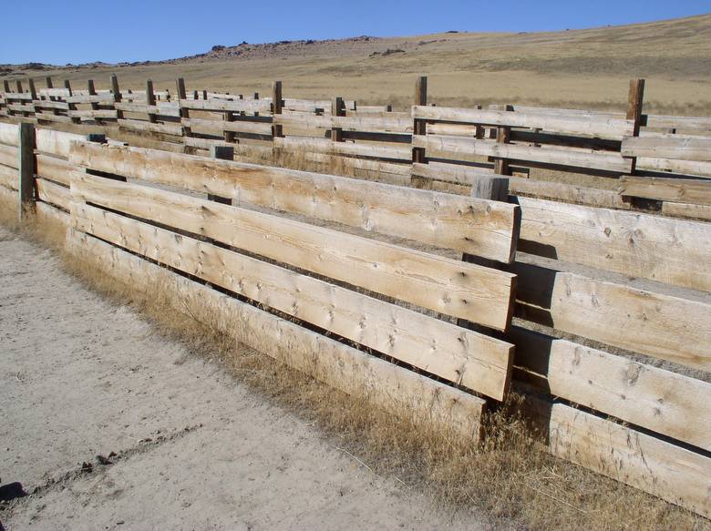 2" Alpine Fir Fencing